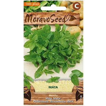 

MORAVOSEED CZ Máta peprná
