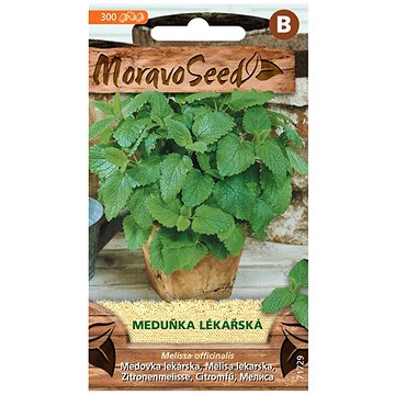 

MORAVOSEED CZ Meduňka lékařská