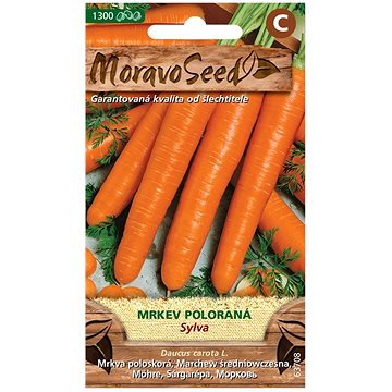 

MORAVOSEED CZ Mrkev karotka poloraná SYLVA