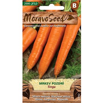

MORAVOSEED CZ Mrkev pozdní TINGA