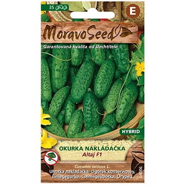 

MORAVOSEED CZ Okurka nakládačka hruboostná ALTAJ F1 - hybrid