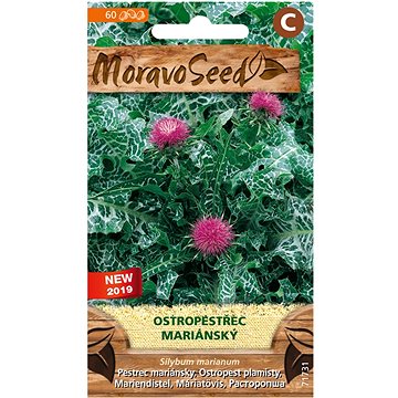 

MORAVOSEED CZ Ostropestřec mariánský