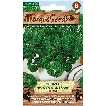 

MORAVOSEED CZ Petržel naťová kadeřavá ASTRA