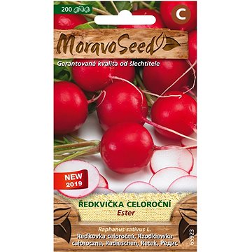 

MORAVOSEED CZ Ředkvička celoroční ESTER, červená