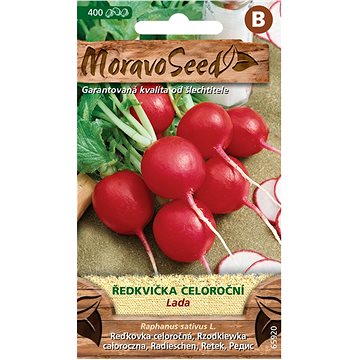 

MORAVOSEED CZ Ředkvička celoroční LADA, červená