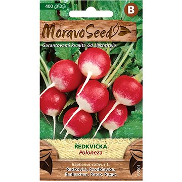 

MORAVOSEED CZ Ředkvička POLONEZA, kulatá červenobílá