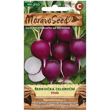 

MORAVOSEED CZ Ředkvička VIOLA, kulatá fialová