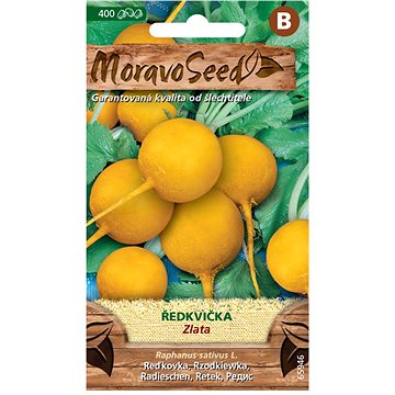 

MORAVOSEED CZ Ředkvička ZLATA, kulatá žlutá