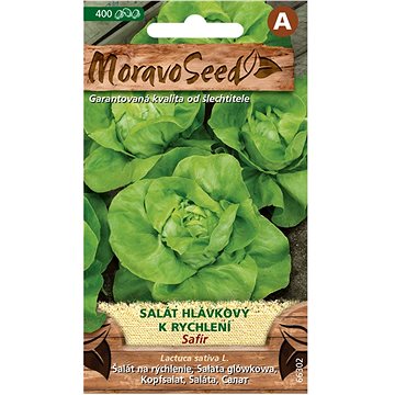 

MORAVOSEED CZ Salát hlávkový k rychlení SAFÍR