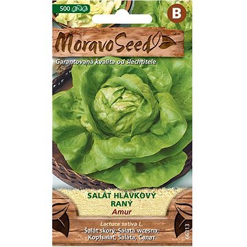 

MORAVOSEED CZ Salát hlávkový raný AMUR