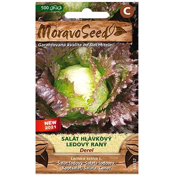 

MORAVOSEED CZ Salát hlávkový ledový raný DEREL