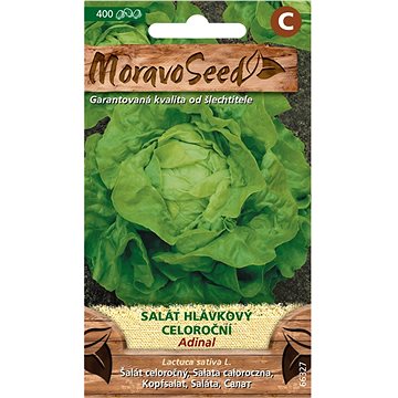 

MORAVOSEED CZ Salát hlávkový celoroční ADINAL