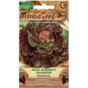 

MORAVOSEED CZ Salát hlávkový celoroční ROSEMARRY, červený