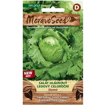 

MORAVOSEED CZ Salát hlávkový ledový celoroční STAMIR