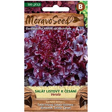 

MORAVOSEED CZ Salát listový k česání VERALA, červený