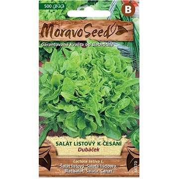 

MORAVOSEED CZ Salát listový k česání DUBÁČEK, zelený