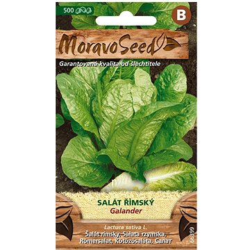 

MORAVOSEED CZ Salát římský GALANTER