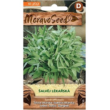 

MORAVOSEED CZ Šalvěj lékařská