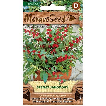 

MORAVOSEED CZ Špenát jahodový