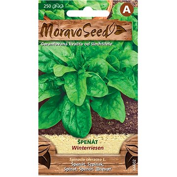 

MORAVOSEED CZ Špenát setý WINTERRIESEN
