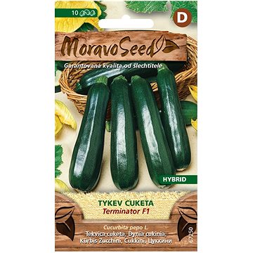 

MORAVOSEED CZ Tykev cuketa zelená TERMINATOR F1 - hybrid