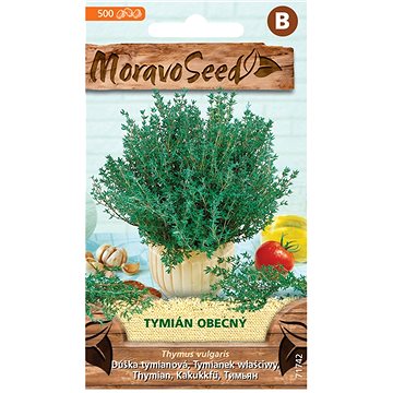 

MORAVOSEED CZ Tymián obecný
