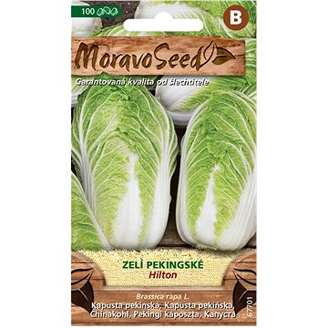 

MORAVOSEED CZ Zelí pekingské HILTON