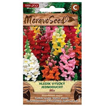 

MORAVOSEED CZ Hledík větší vysoký jednoduchý, směs