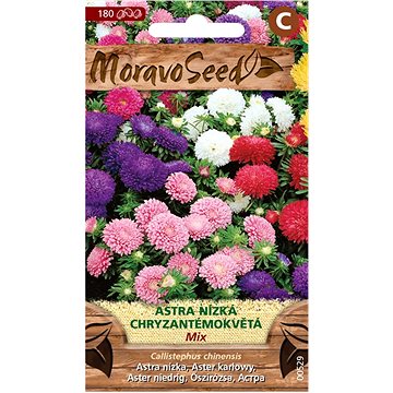 

MORAVOSEED CZ Astra čínská nízká chryzantémokvětá, směs
