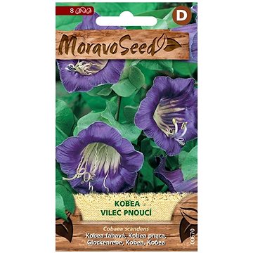 

MORAVOSEED CZ Kobea - Vilec pnoucí, fialová