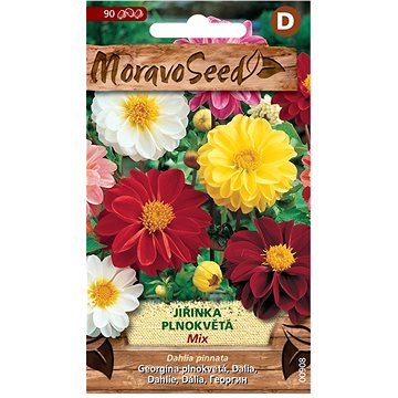 

MORAVOSEED CZ Jiřinka proměnlivá plnokvětá, směs