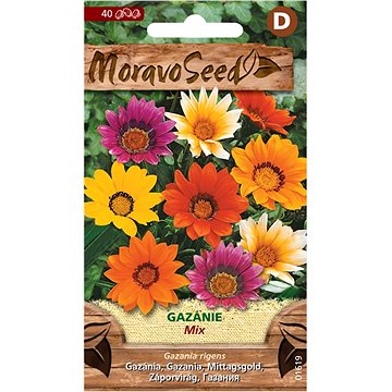 

MORAVOSEED CZ Gazánie zářivá, směs