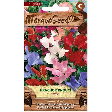 

MORAVOSEED CZ Hrachor vonný pnoucí, směs