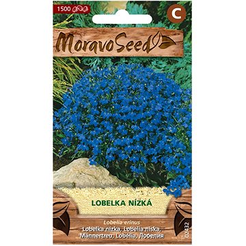 

MORAVOSEED CZ Lobelka drobná nízká, modrá