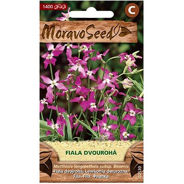

MORAVOSEED CZ Fiala dvourohá, fialová