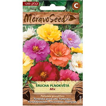 

MORAVOSEED CZ Šrucha velkokvětá plnokvětá, směs