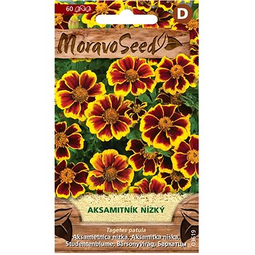 

MORAVOSEED CZ Aksamitník rozkladitý jednoduchý, hnědo-žlutý