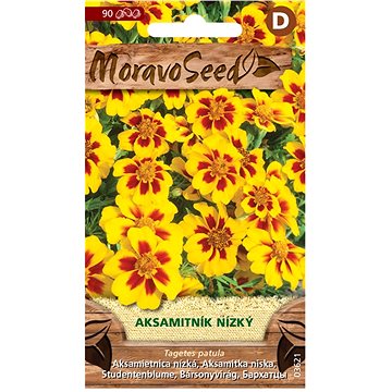 

MORAVOSEED CZ Aksamitník rozkladitý jednoduchý, žluto-hnědý