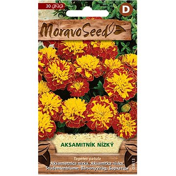 

MORAVOSEED CZ Aksamitník rozkladitý plnokvětý, hnědo-žlutý