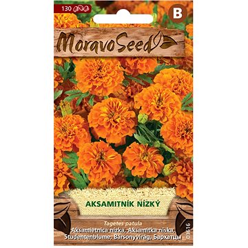 

MORAVOSEED CZ Aksamitník rozkladitý plnokvětý, oranžový