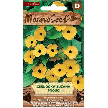 

MORAVOSEED CZ Černooká Zuzana pnoucí, žlutá