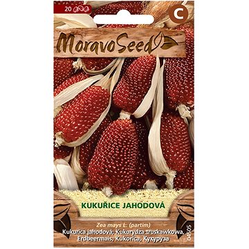 

MORAVOSEED CZ Kukuřice jahodová