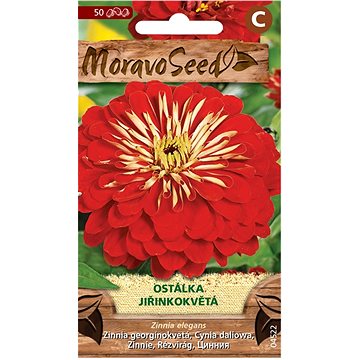 

MORAVOSEED CZ Ostálka lepá jiřinkokvětá, červená