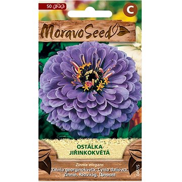 

MORAVOSEED CZ Ostálka lepá jiřinkokvětá, fialová