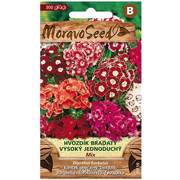 

MORAVOSEED CZ Hvozdík bradatý vysoký jednoduchý, směs