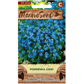

MORAVOSEED CZ Pomněnka lesní, modrá