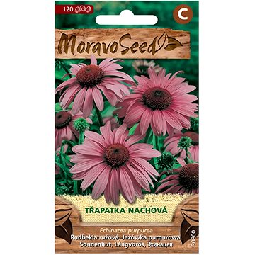 

MORAVOSEED CZ Třapatka nachová, fialová