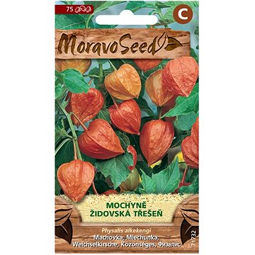 

MORAVOSEED CZ Mochyně - Židovská třešeň, oranžová