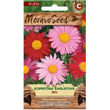 

MORAVOSEED CZ Kopretina šarlatová, směs