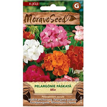 

MORAVOSEED CZ Pelargónie páskatá, směs